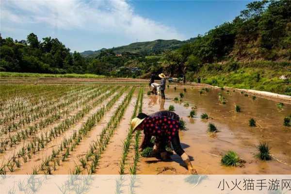 情侣的30种插秧法图片 1. ＂爱意满田：情侣共同插秧的浪漫时光