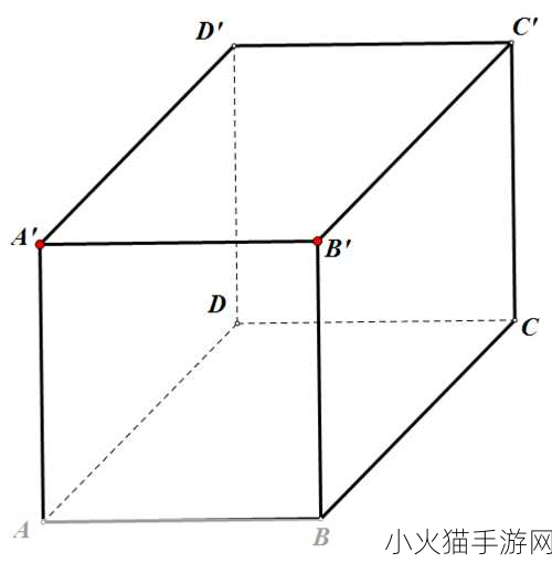 B和B为什么不一样 1. B与B之间的差异及其深层原因探析