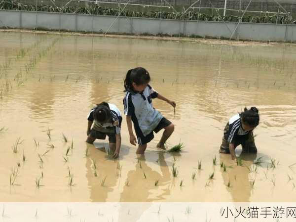 男女插秧二十三方法 1. 男女性别差异对插秧技术的影响研究