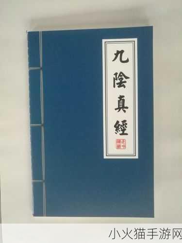 九阴真经四内秘技全揭秘 1. 《九阴真经：四内秘技的深层解析与应用