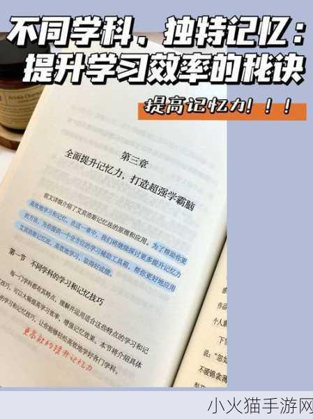 饪时提升效率秘诀 1. 提升厨房效率的十大实用技巧