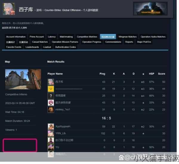 17岁俄罗斯CSGO玩家的竞技表现如何 1. 17岁俄罗斯CSGO天才：从新手到竞技明星的成长之路