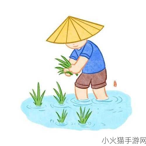 情侣之间插秧的图片 1. 一起插秧，共同耕耘爱的未来