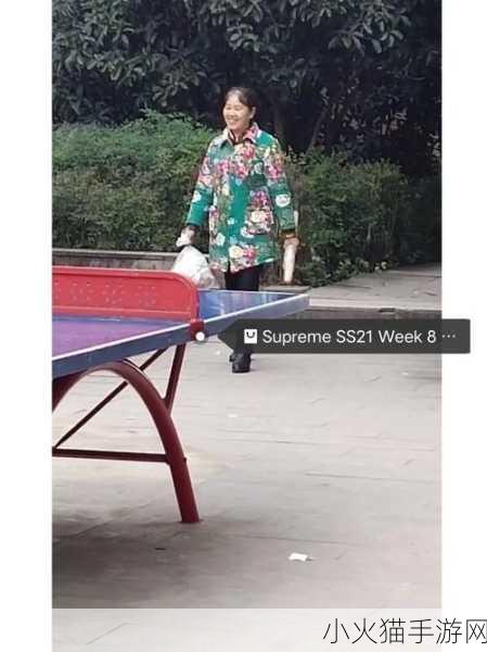 supreme大妈zombie 1.Supreme大妈：不屈的僵尸之路