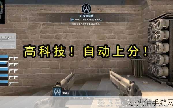 暴躁老阿姨CSGO技巧揭秘 1. 《暴躁老阿姨教你如何在CSGO中逆风翻盘