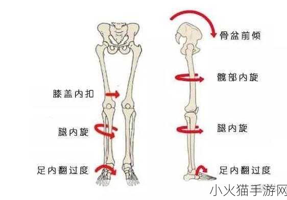 起来还在c骨科 当然可以！以下是一些关于骨科领域的扩展