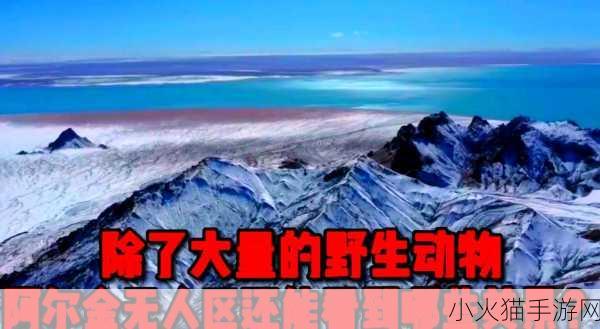 无人区码一码二码三码是 1. 《无人区探秘：从一码到三码的奇妙旅程