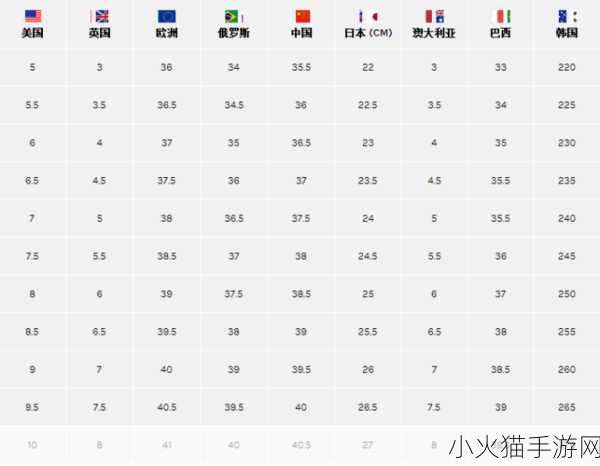 欧美尺码日本尺码专线 欧美尺码转换为日本尺码的详细指南与解析