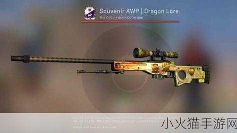 日本csgo大姐姐awp多少钱 1. 日本CSGO大姐姐AWP价格揭秘与分析