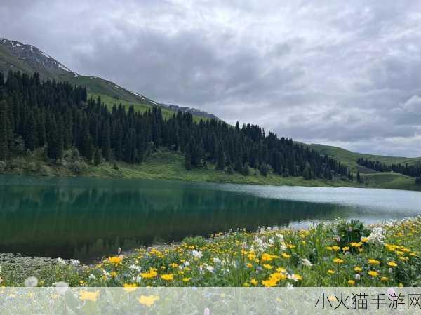 杨大壮和田桂花的第二十九奇遇 1. 杨大壮与田桂花的神秘时空之旅