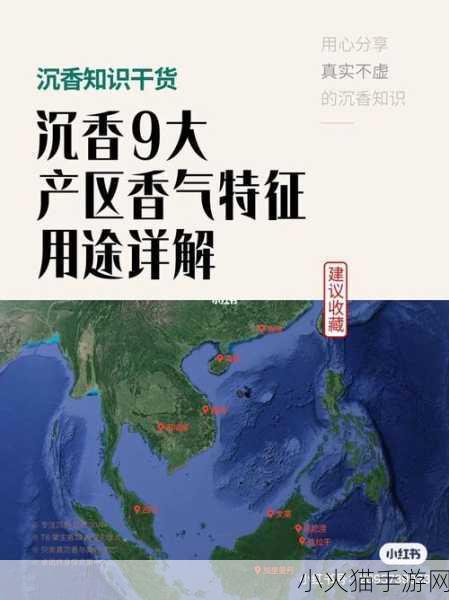 沉香产区的一线二线区分 1. 沉香产区一线二线的市场价值解析