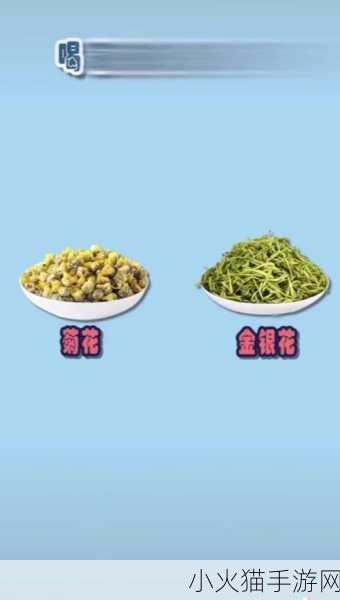 六年级菊花能塞下几支笔 1. 菊花的秘密：可以容纳多少支笔？