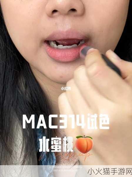 探寻MAC水蜜桃色314 1. 探索MAC水蜜桃色314的魅力与搭配技巧