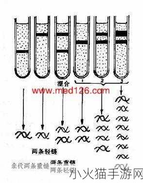 九浅一深和左三右三已升级完成 1. 九浅一深与左三右三的全新探索之旅