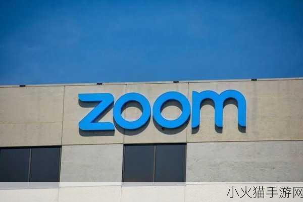 欧洲Zoom人与Zoom 1. 欧洲Zoom人的成功故事：连接与创新的交汇