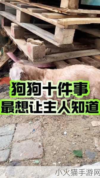 知道错了请主人教训 当然可以！以下是一些扩展后的标题建议：