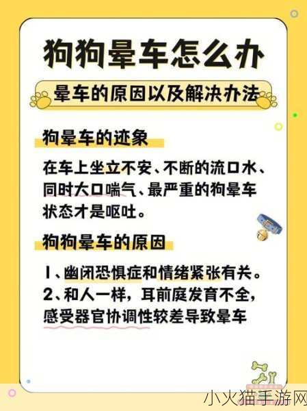 狗狗的东西又硬又长怎么办 1. 如何处理狗狗的硬长物品问题？