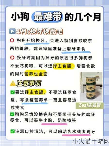 狗狗的东西又硬又长怎么办 1. 如何处理狗狗的硬长物品问题？