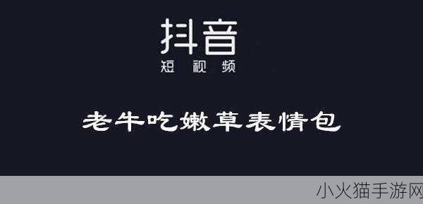 老牛嫩草一二三产品区别蘑菇视频 1. 老牛嫩草：探索不同产品的独特魅力