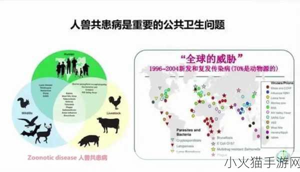 人与畜禽一CORPORATION 人与畜禽的和谐共生与可持续发展探索