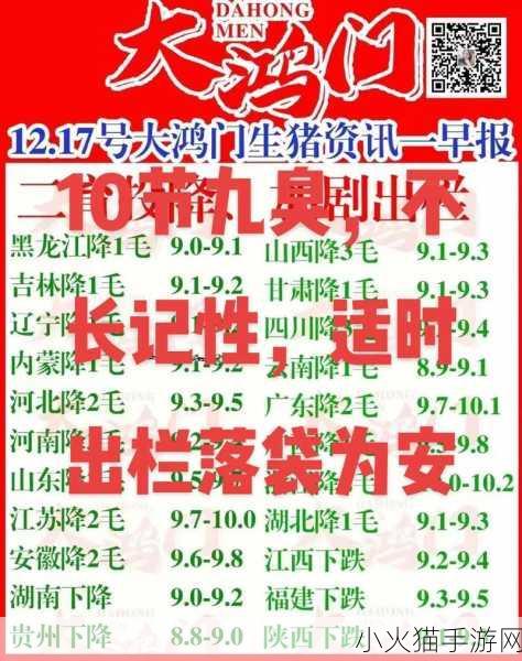 2023年九幺9.1旧版安装指南 2023年9.1旧版安装指南的详细步骤与注意事项解析