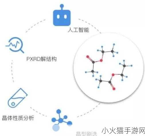 BASE掀起ONCHAINSUMMER热潮 基于BASE引领ONCHAINSUMMER新潮流的深度探讨