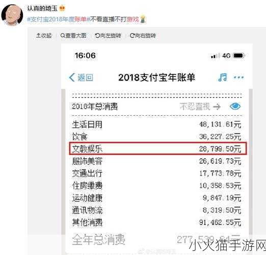 2018 支付宝年度账单，探索消费足迹与财务回顾