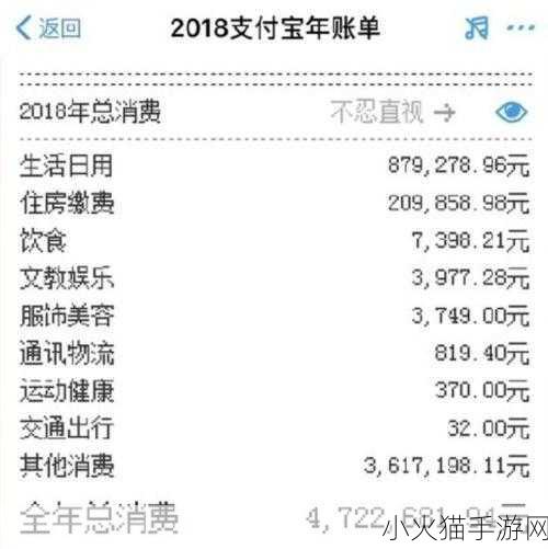 2018 支付宝年度账单，探索消费足迹与财务回顾