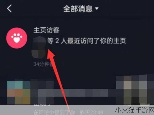 探索抖音新版本，如何查看访客记录全攻略