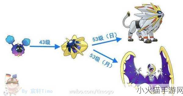 深入剖析宝可梦攻击与特攻的显著区别