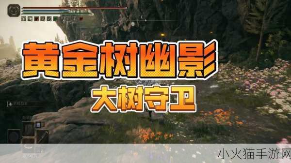 深入剖析艾尔登法环黄金树幽影版本与 DLC 版本的显著差异