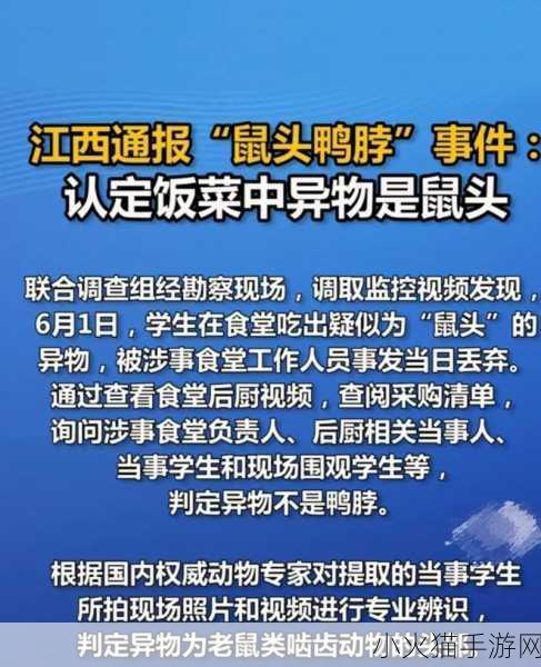 深入解析鼠鼠我鸭，手游世界中的新奇梗及其背后含义