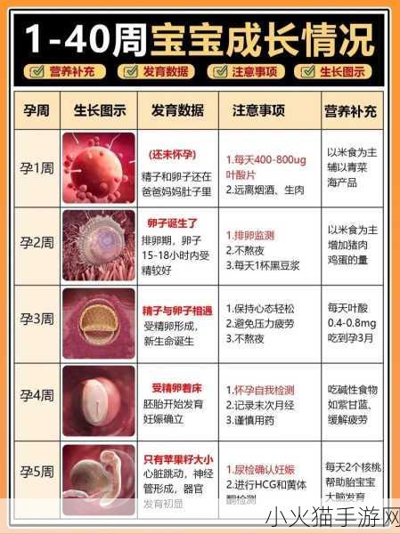 探索古代女性粉底原料之谜，小鸡宝宝的奇妙发现