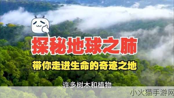 故土寻情，手仗主人究竟在何方？图文攻略详解带你探秘