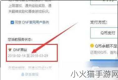 DNF 黑钻到期时间查询全攻略，你必须知道的方法