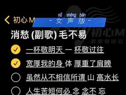 抖音热歌背后，毛不易<消愁>引发的情感共鸣与手游世界的交融